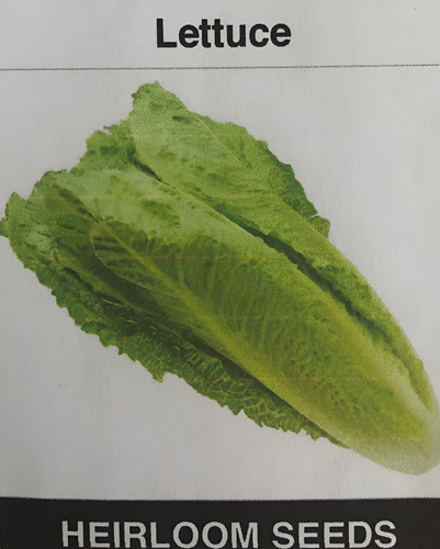 [HSLET200] Heirloom seeds Lettuce 200seeds