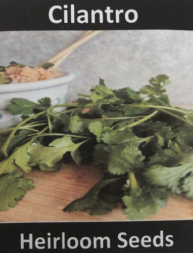 [HSCIL100] Heirloom Seeds Cilantro 100seeds