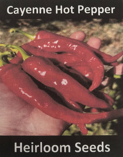 [HSCAYHP] Heirloom seeds Cayenne Hot pepper 3Oseeds