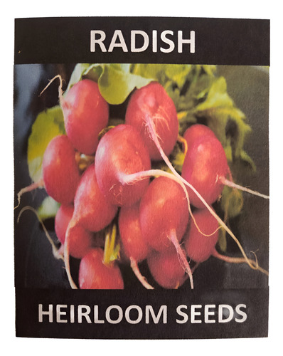 [HSRAD200] Heirloom Seeds Radish 200 seeds